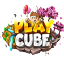 playcube.pl - logo