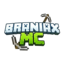 BRANIAXMC.PL - logo