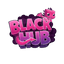 blackhub.pl - logo