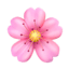 sakuramc.pl - logo